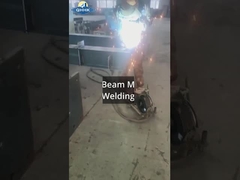 Sri Lanka Steel Workshop met kraanproject